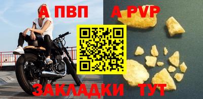 кокс Кингисепп