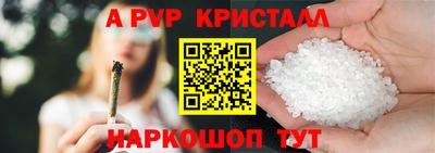 кокс Кингисепп