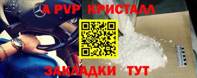 кокс Кингисепп