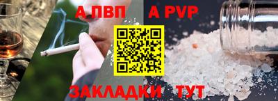 кокс Кингисепп