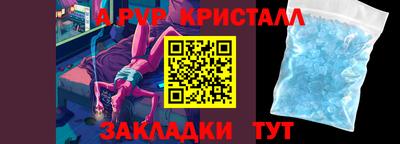 кокс Кингисепп