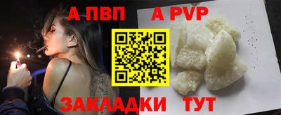 кокс Кингисепп