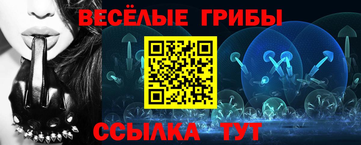 Галлюциногенные грибы Psilocybe Тверь